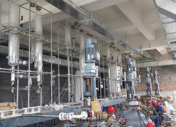 Glasbeschichtete Reaktoren und Spulenkondensatoren an Shandong Lukang Pharmaceutical Co., Ltd. geliefert.
