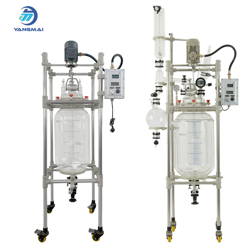 Laboratory Glass Reactor