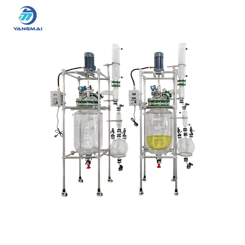 Custom Glass Reactor